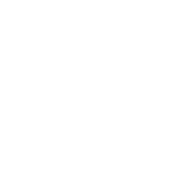 Penetration Testing